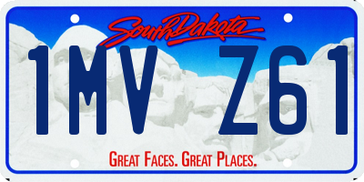 SD license plate 1MVZ61