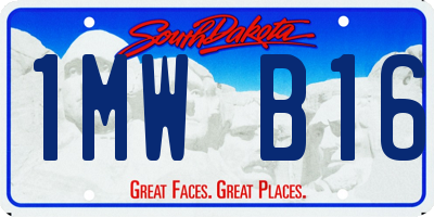 SD license plate 1MWB16
