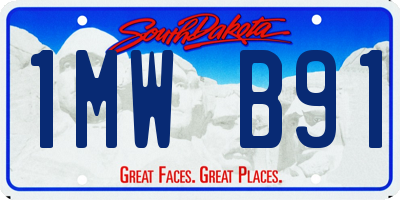 SD license plate 1MWB91