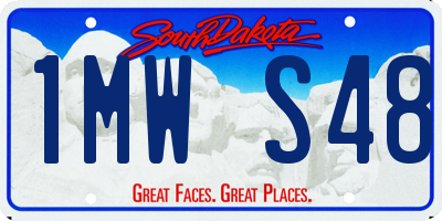 SD license plate 1MWS48