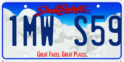SD license plate 1MWS59