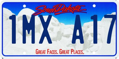 SD license plate 1MXA17
