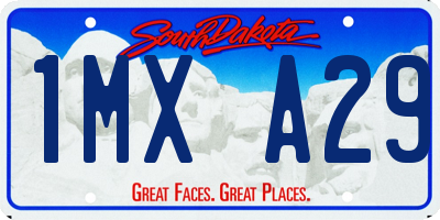 SD license plate 1MXA29