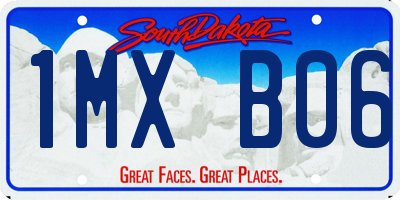 SD license plate 1MXB06