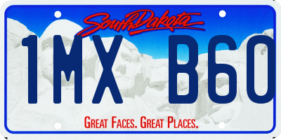 SD license plate 1MXB60