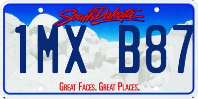 SD license plate 1MXB87