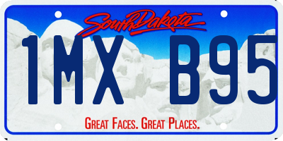 SD license plate 1MXB95