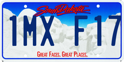 SD license plate 1MXF17