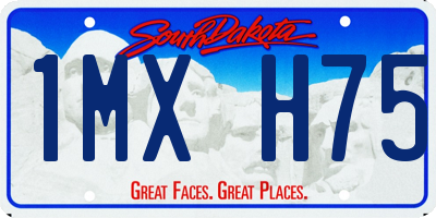 SD license plate 1MXH75