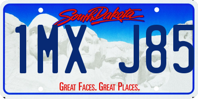 SD license plate 1MXJ85
