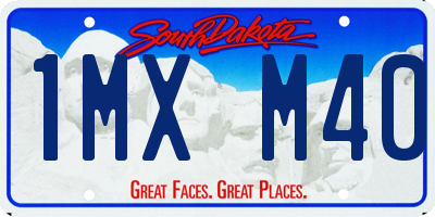 SD license plate 1MXM40