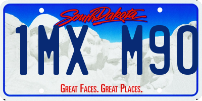 SD license plate 1MXM90