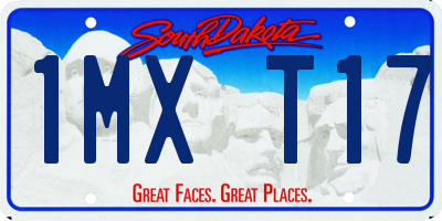 SD license plate 1MXT17
