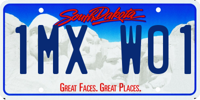 SD license plate 1MXW01