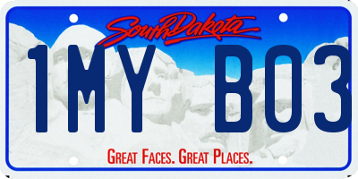 SD license plate 1MYB03