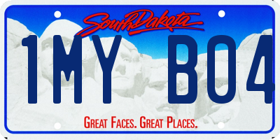 SD license plate 1MYB04