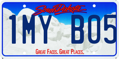 SD license plate 1MYB05