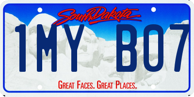 SD license plate 1MYB07
