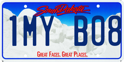 SD license plate 1MYB08