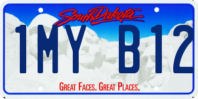 SD license plate 1MYB12