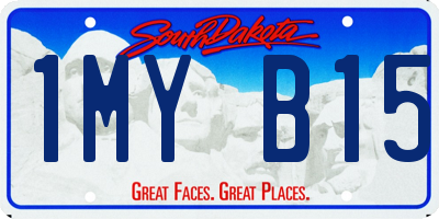 SD license plate 1MYB15