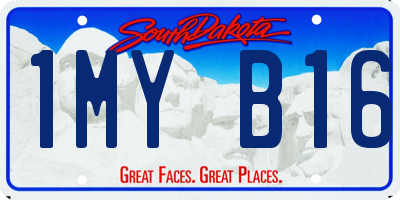 SD license plate 1MYB16