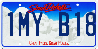 SD license plate 1MYB18