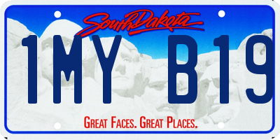 SD license plate 1MYB19