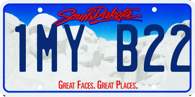 SD license plate 1MYB22