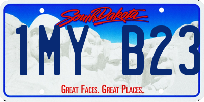 SD license plate 1MYB23