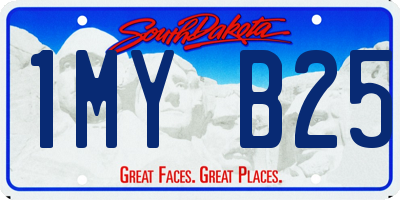 SD license plate 1MYB25