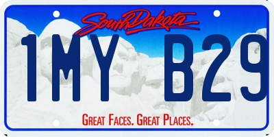 SD license plate 1MYB29