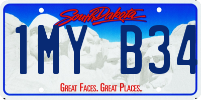 SD license plate 1MYB34