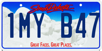 SD license plate 1MYB47