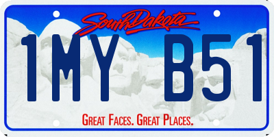 SD license plate 1MYB51