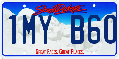 SD license plate 1MYB60