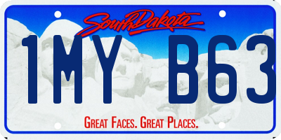 SD license plate 1MYB63