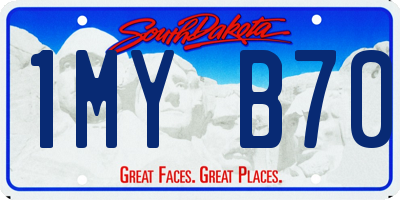 SD license plate 1MYB70
