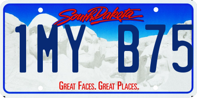 SD license plate 1MYB75