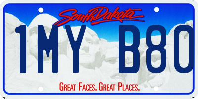 SD license plate 1MYB80