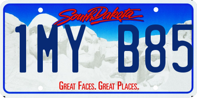 SD license plate 1MYB85