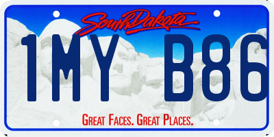 SD license plate 1MYB86