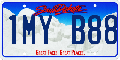 SD license plate 1MYB88