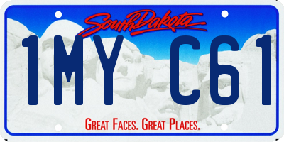 SD license plate 1MYC61