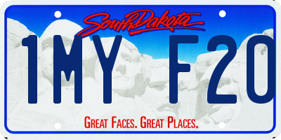 SD license plate 1MYF20