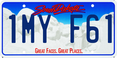 SD license plate 1MYF61
