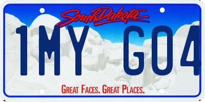 SD license plate 1MYG04