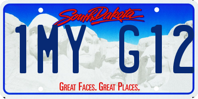 SD license plate 1MYG12