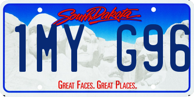 SD license plate 1MYG96