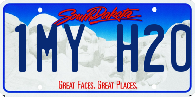 SD license plate 1MYH20
